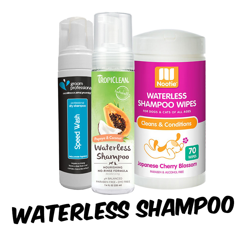 Dry shampoo