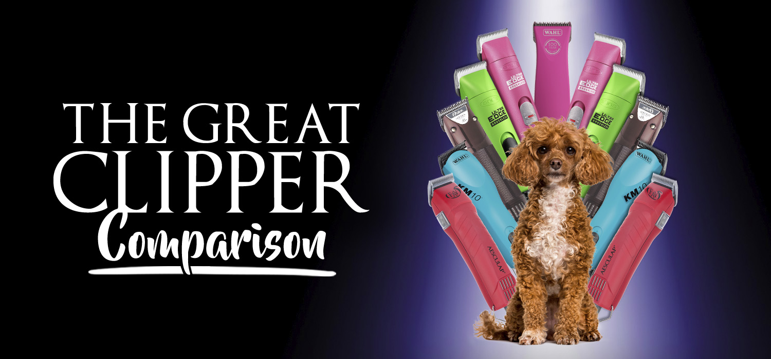 Clipper Comparison