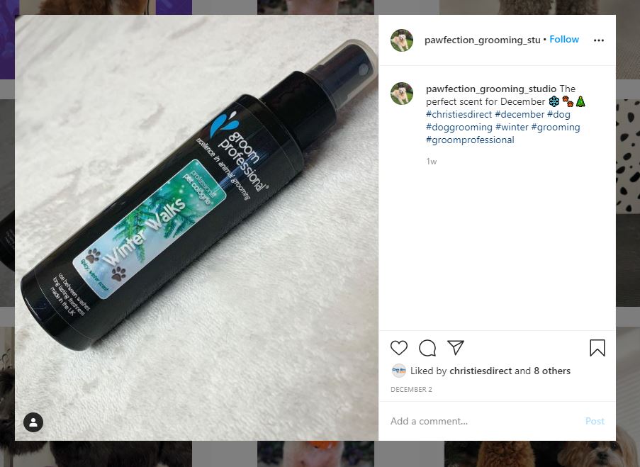 Winter Walks Pet Cologne