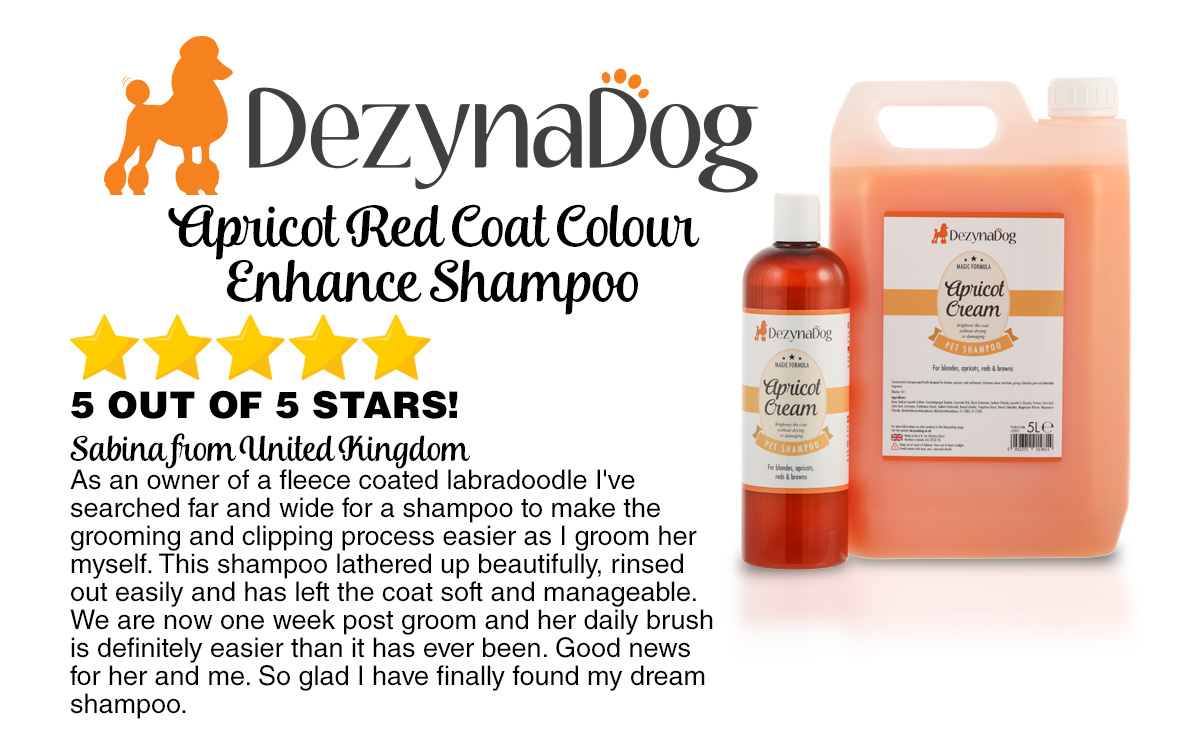 Dezynadog Review
