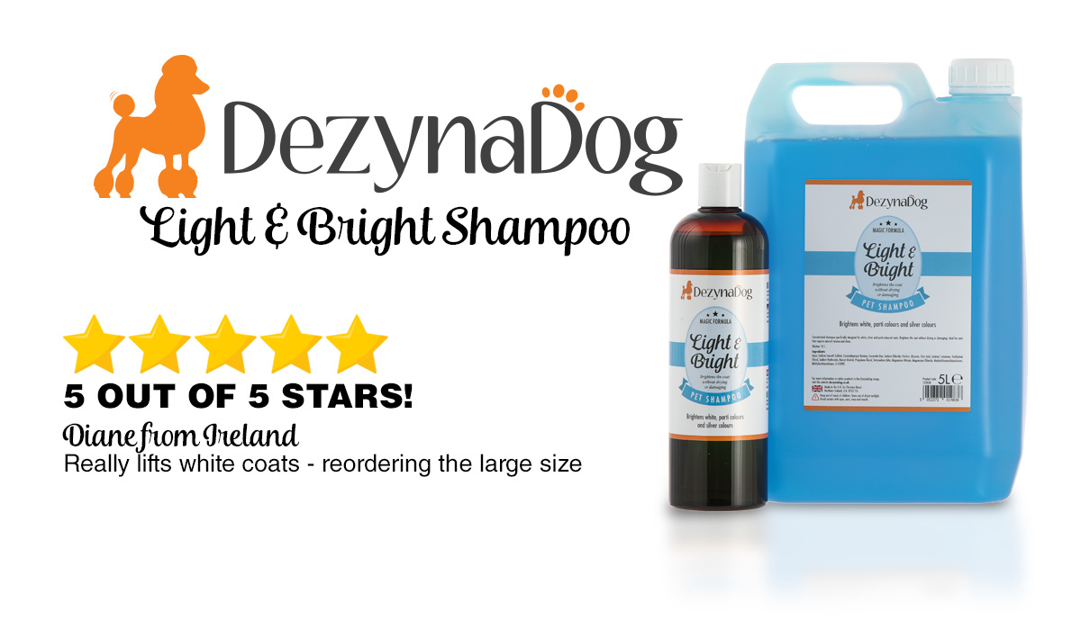 Dezynadog Review
