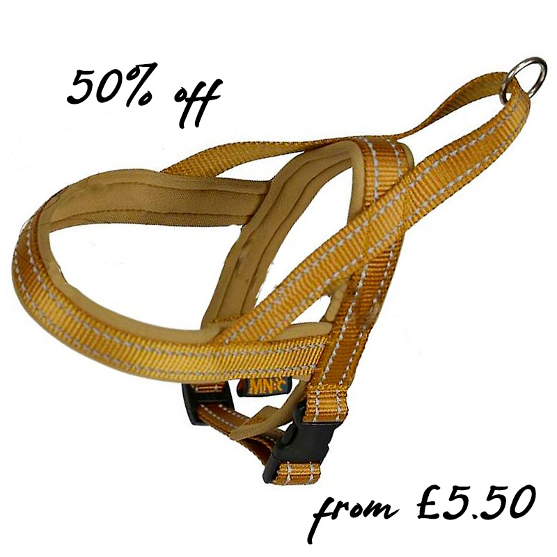 Neoprene Padded Gold Harness