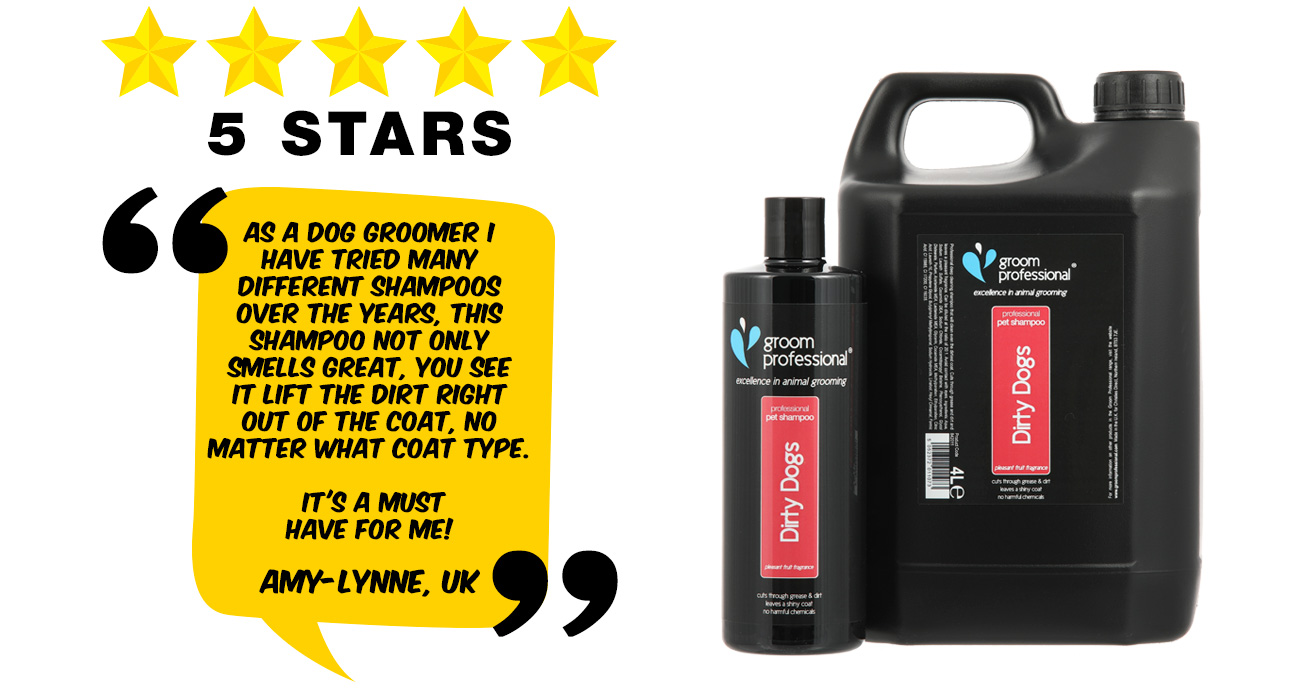 Dirty Dogs 5 Star Review