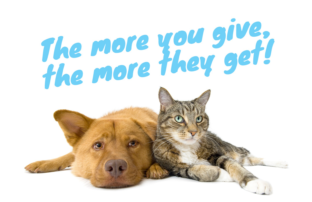 The more you give the more they get!