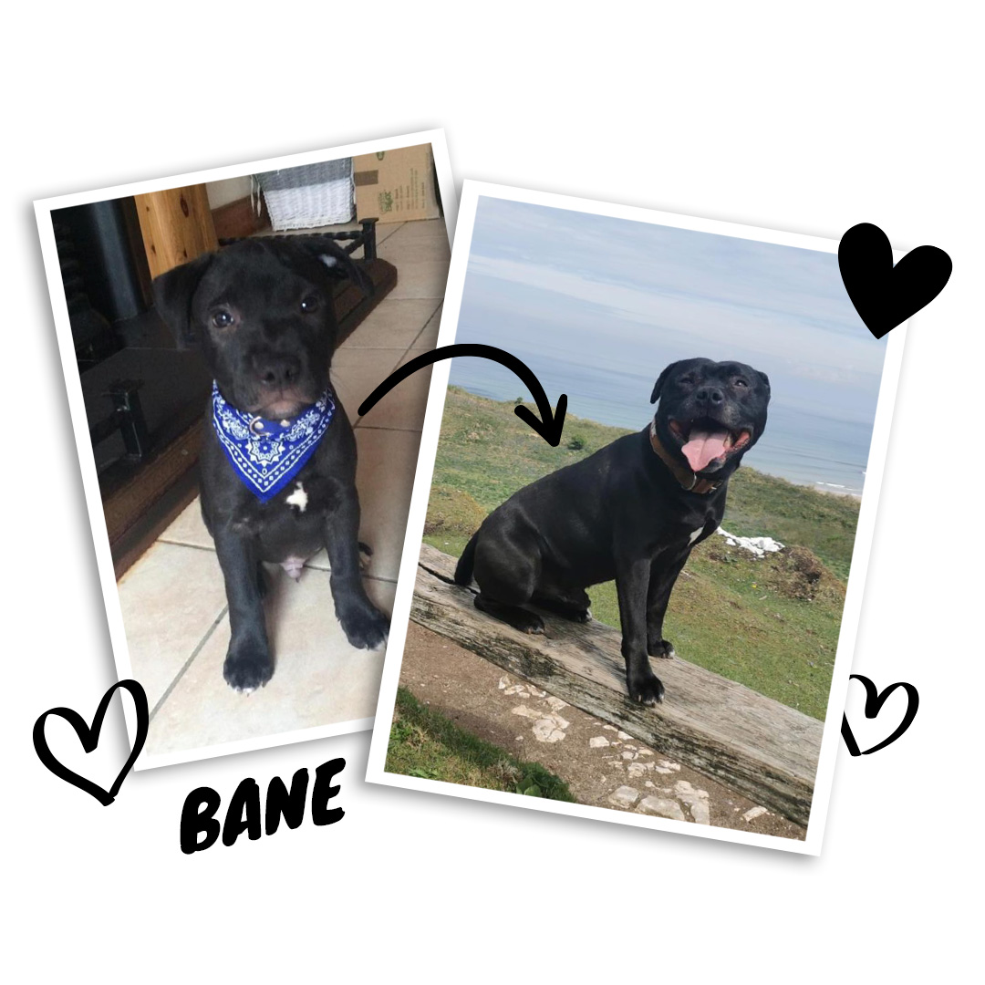 Bane and Mia 