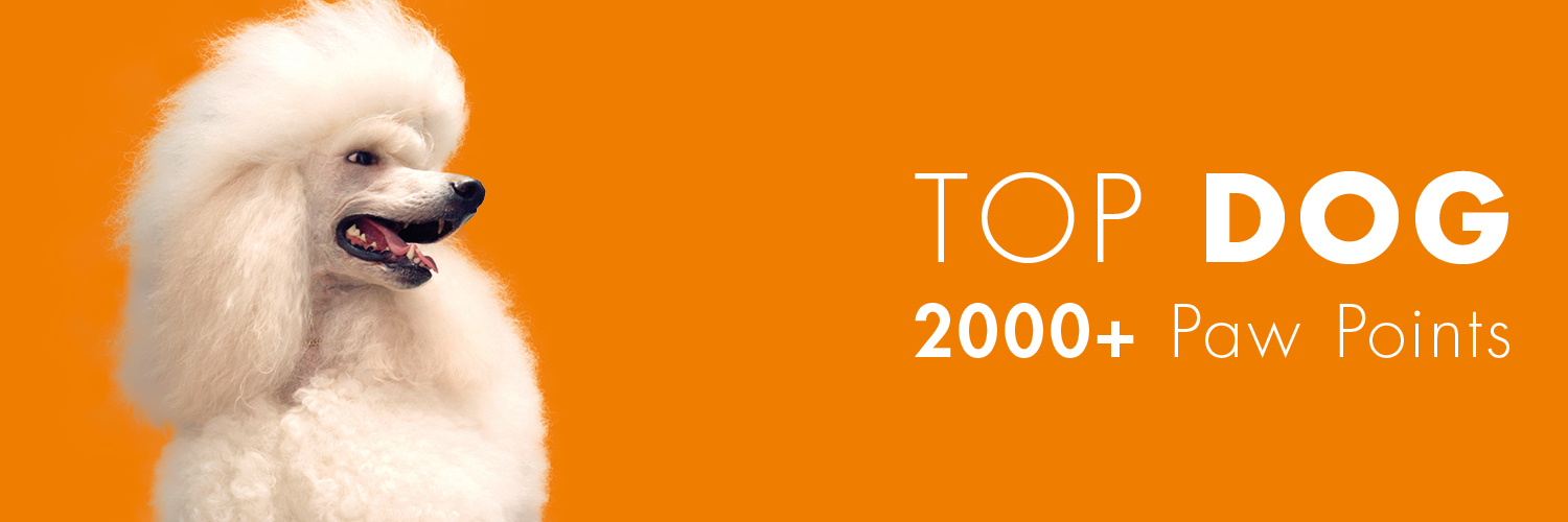 Top Dog