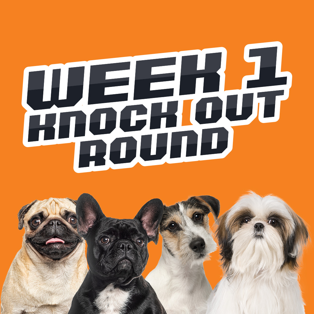 Week 1 knockout Round