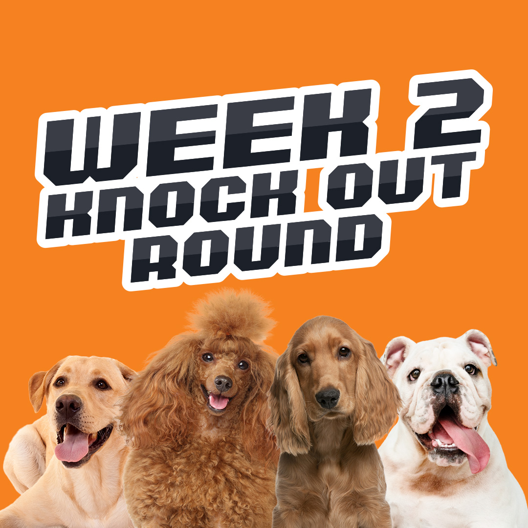 Week 2 Knockout Round