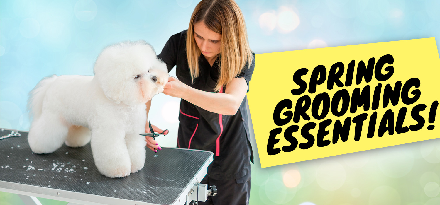 Spring Grooming Essentials