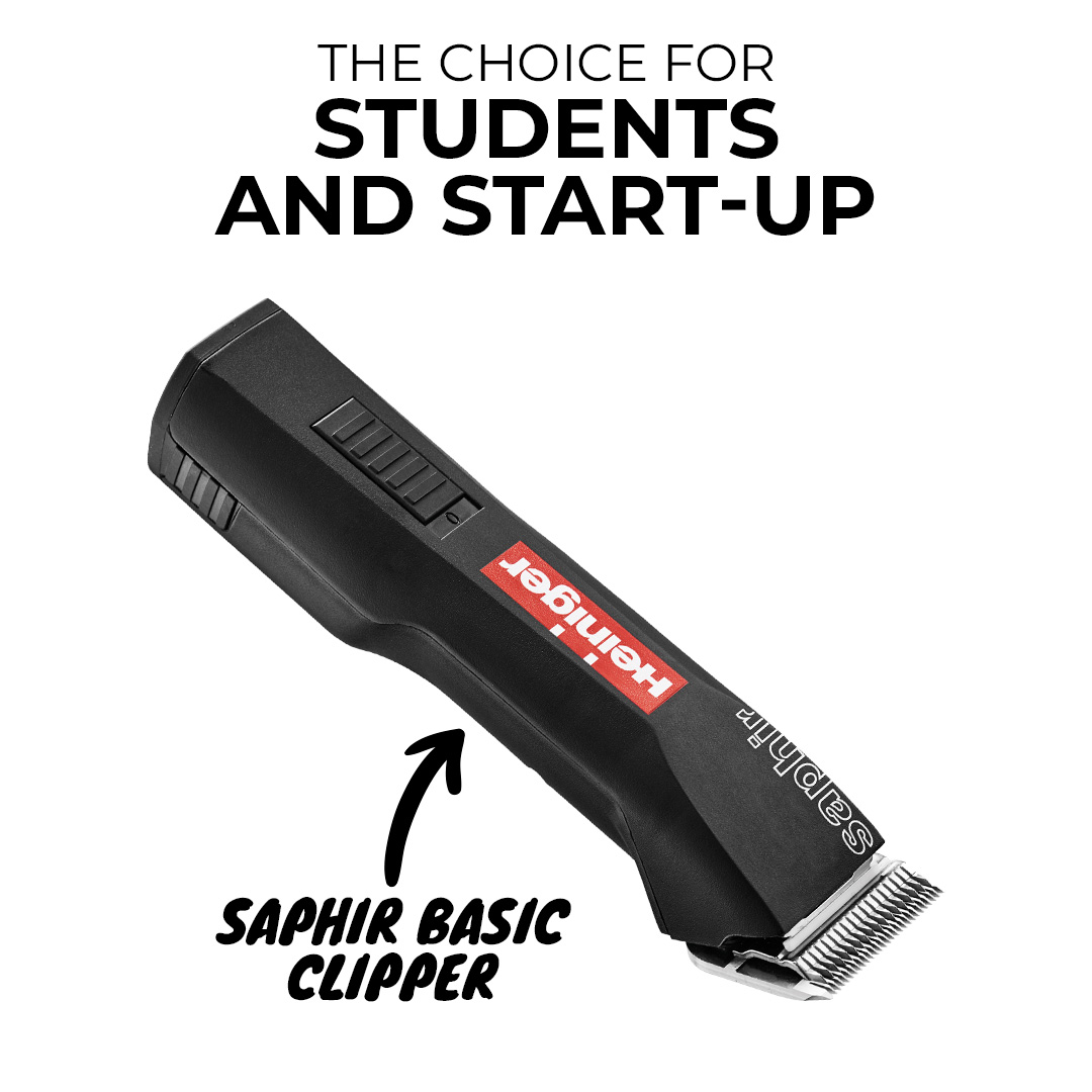 The Choice for Students and Start-Up