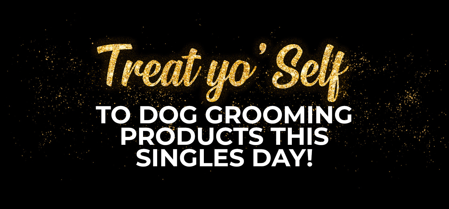 Singles Day