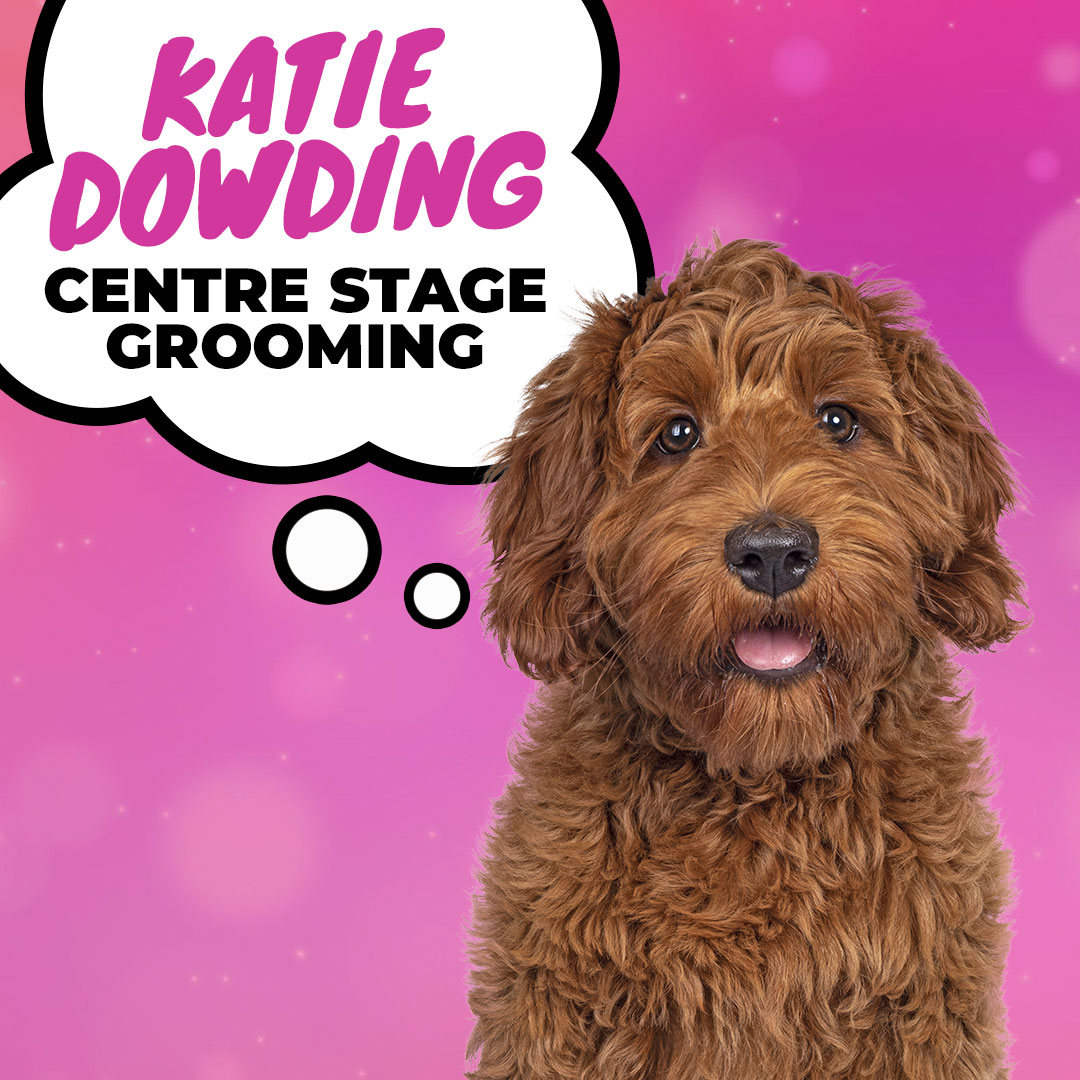Looking After Your Mental Health - Katie Dowding