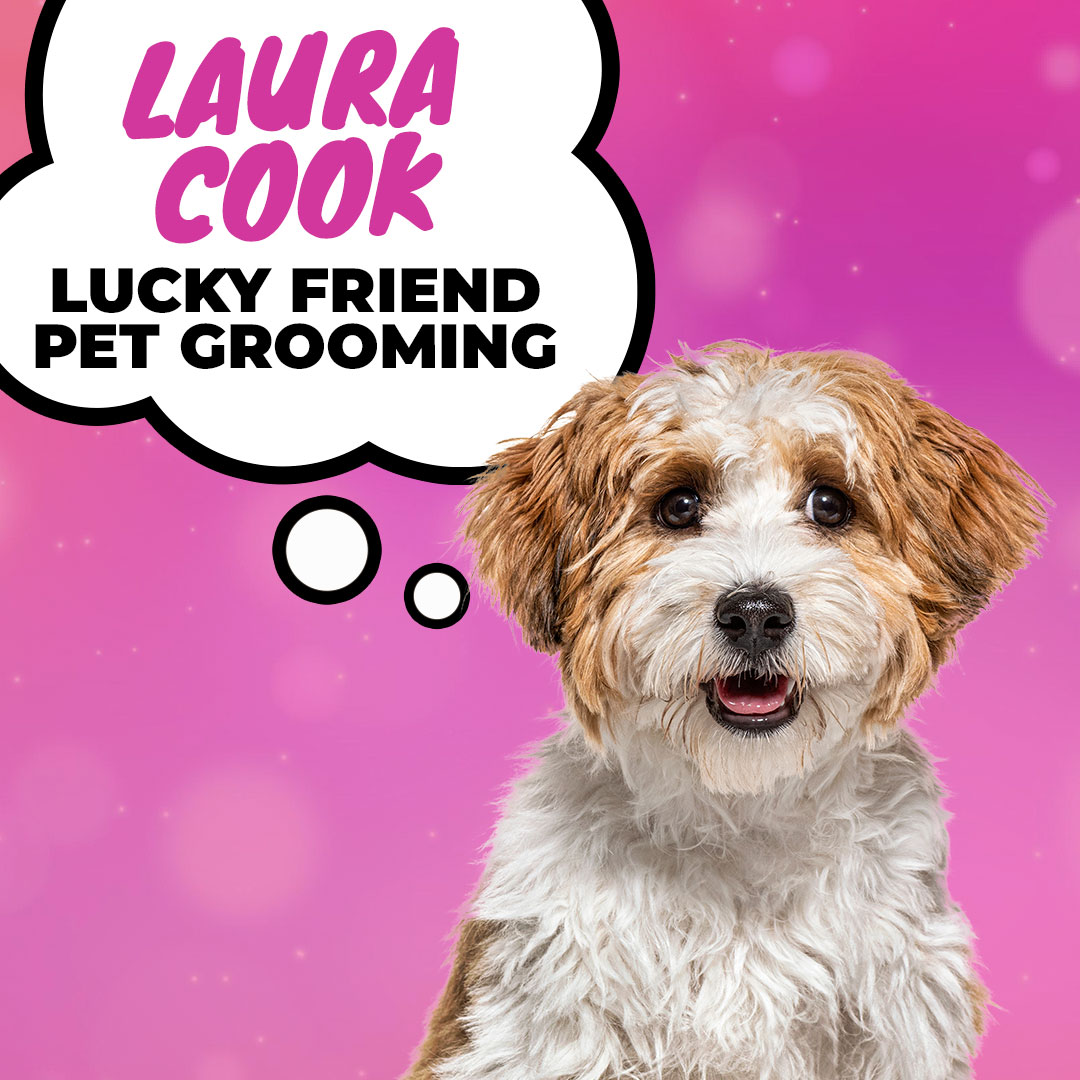 Looking After Your Mental Health - Laura Cook