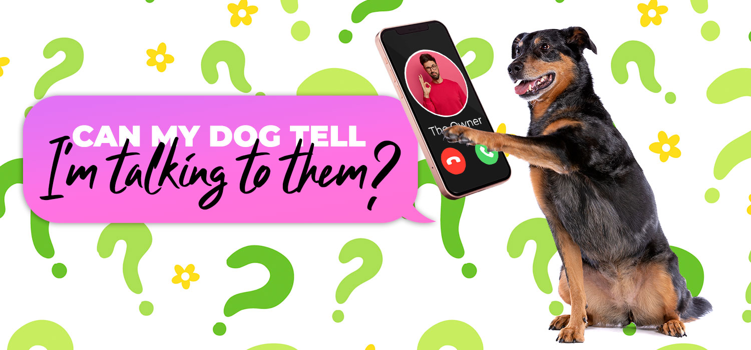 can my dog tell im talking to them
