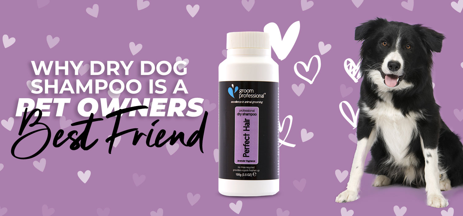 why dry dog shampoo is a pet owners best friend