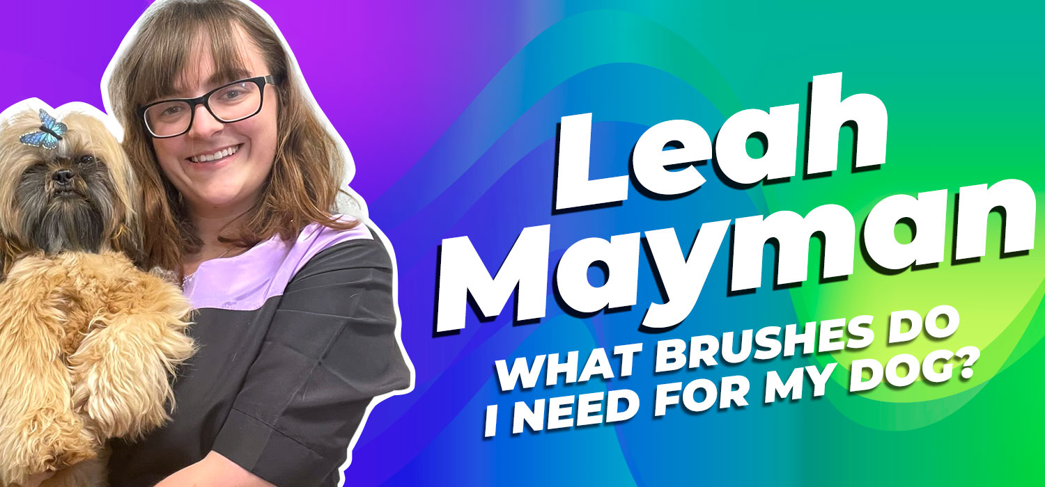 what brushes does my dog need?