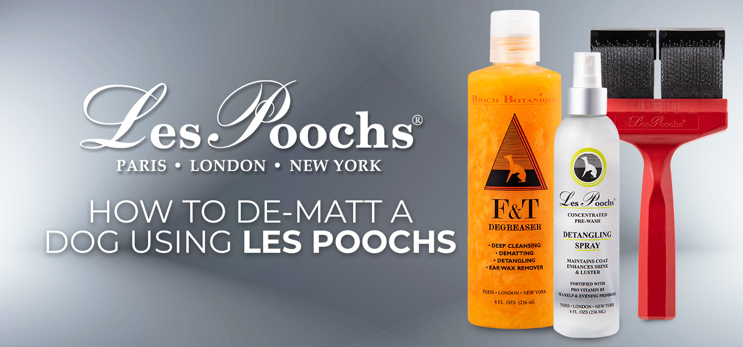 dematting a dog with les poochs
