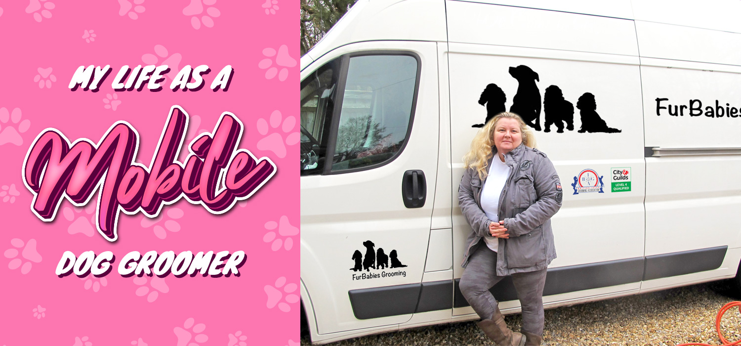 my life as a mobile dog groomer