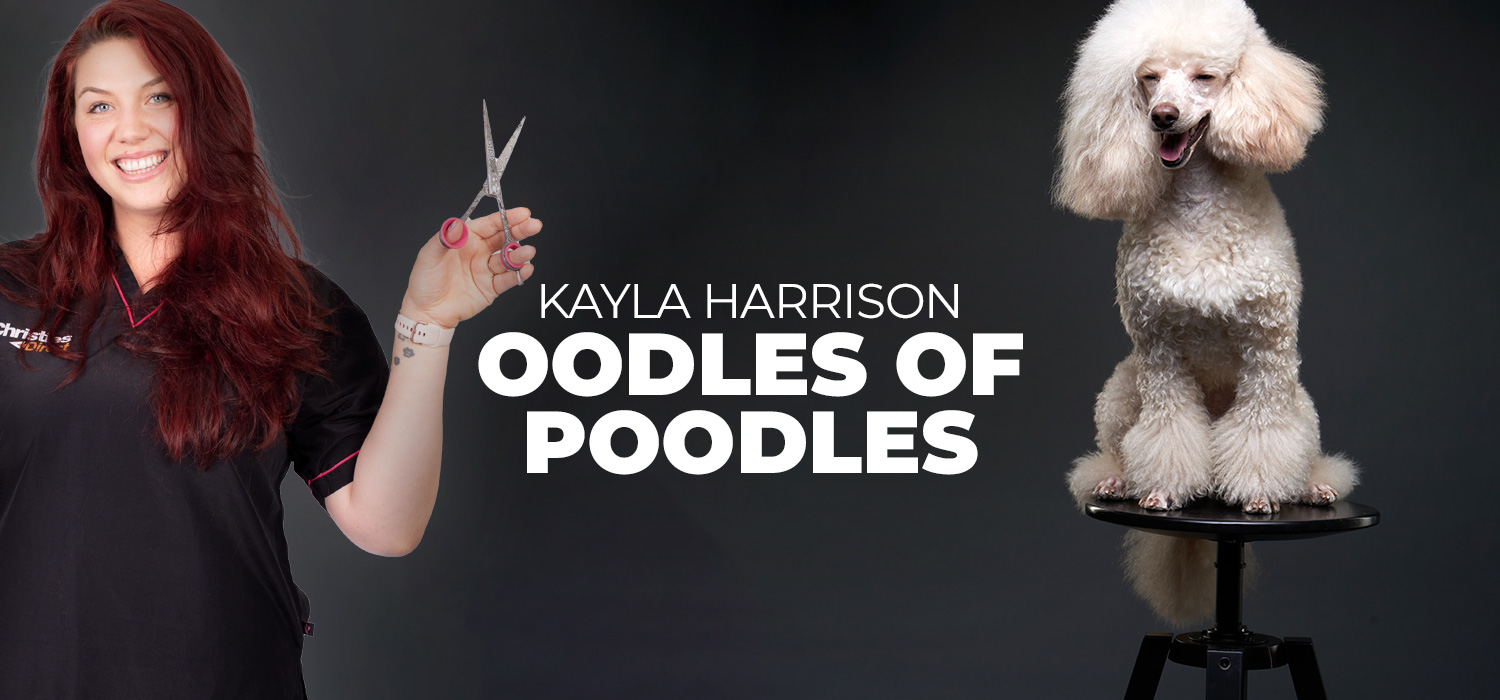 poodles