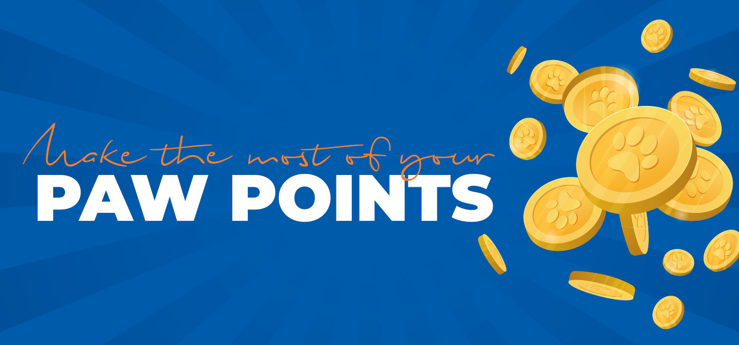 Coins with text saying make the most of your Paw Points