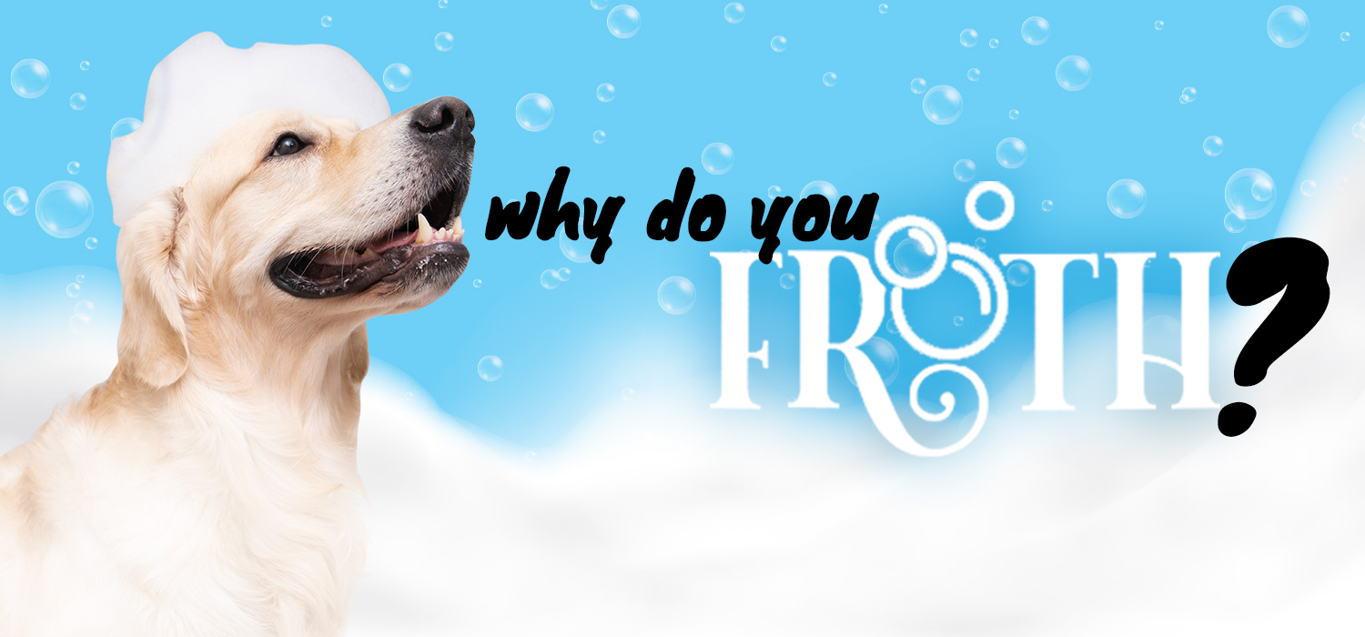 labrador with bubbles