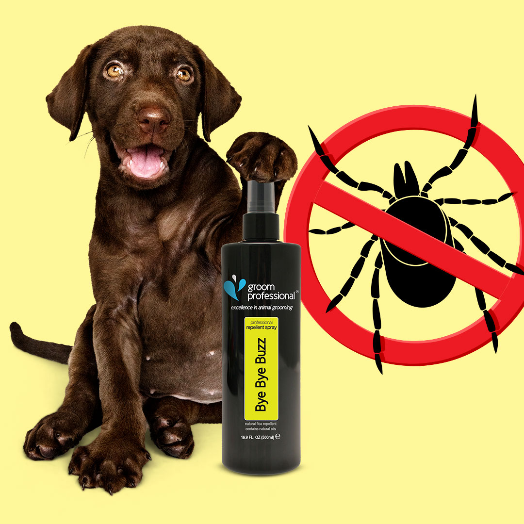 shampoo preventing parasites