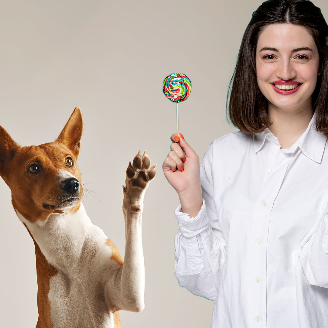 rewarding a dog