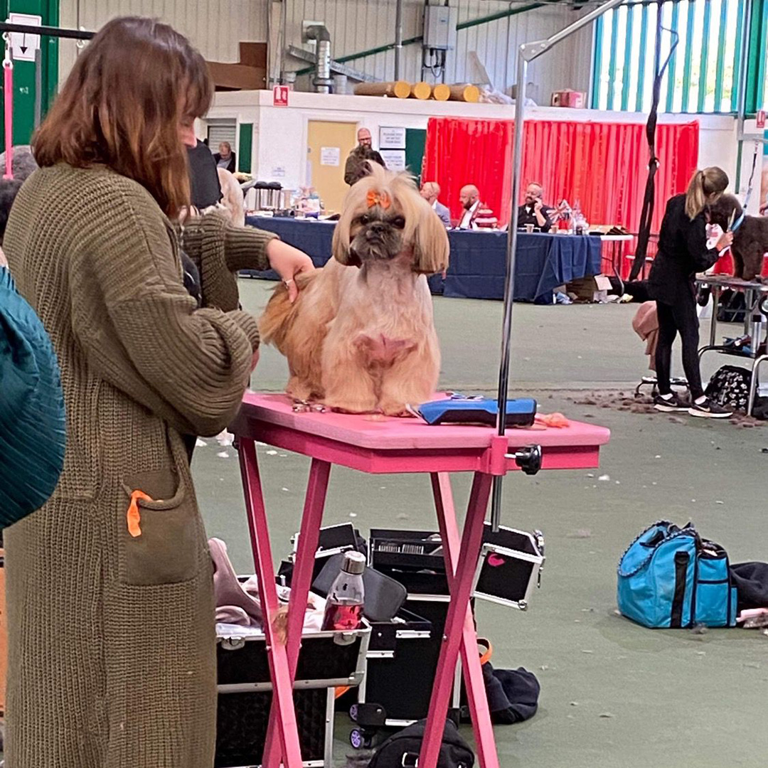leah mayman great british groom off