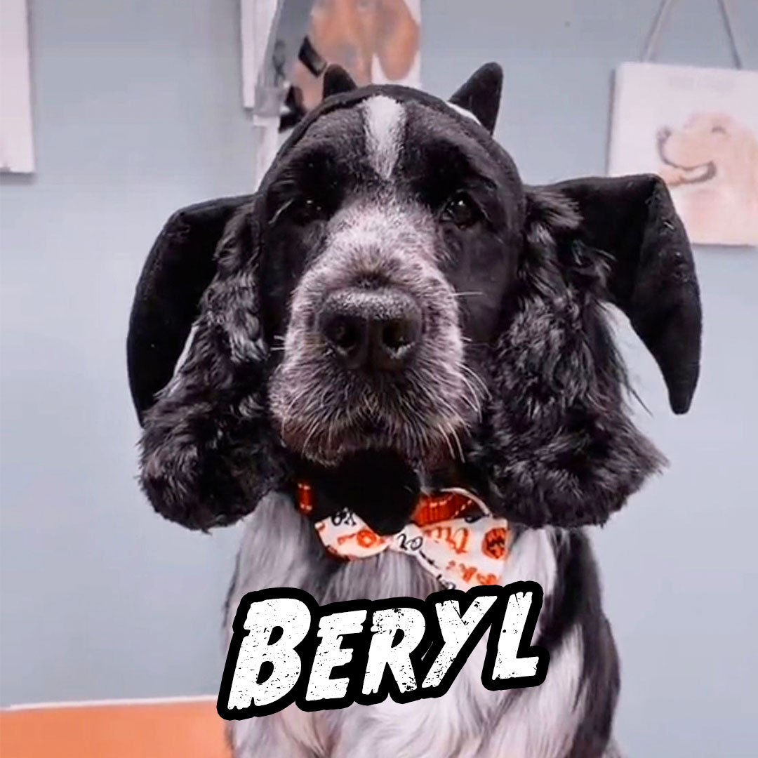 Beryl