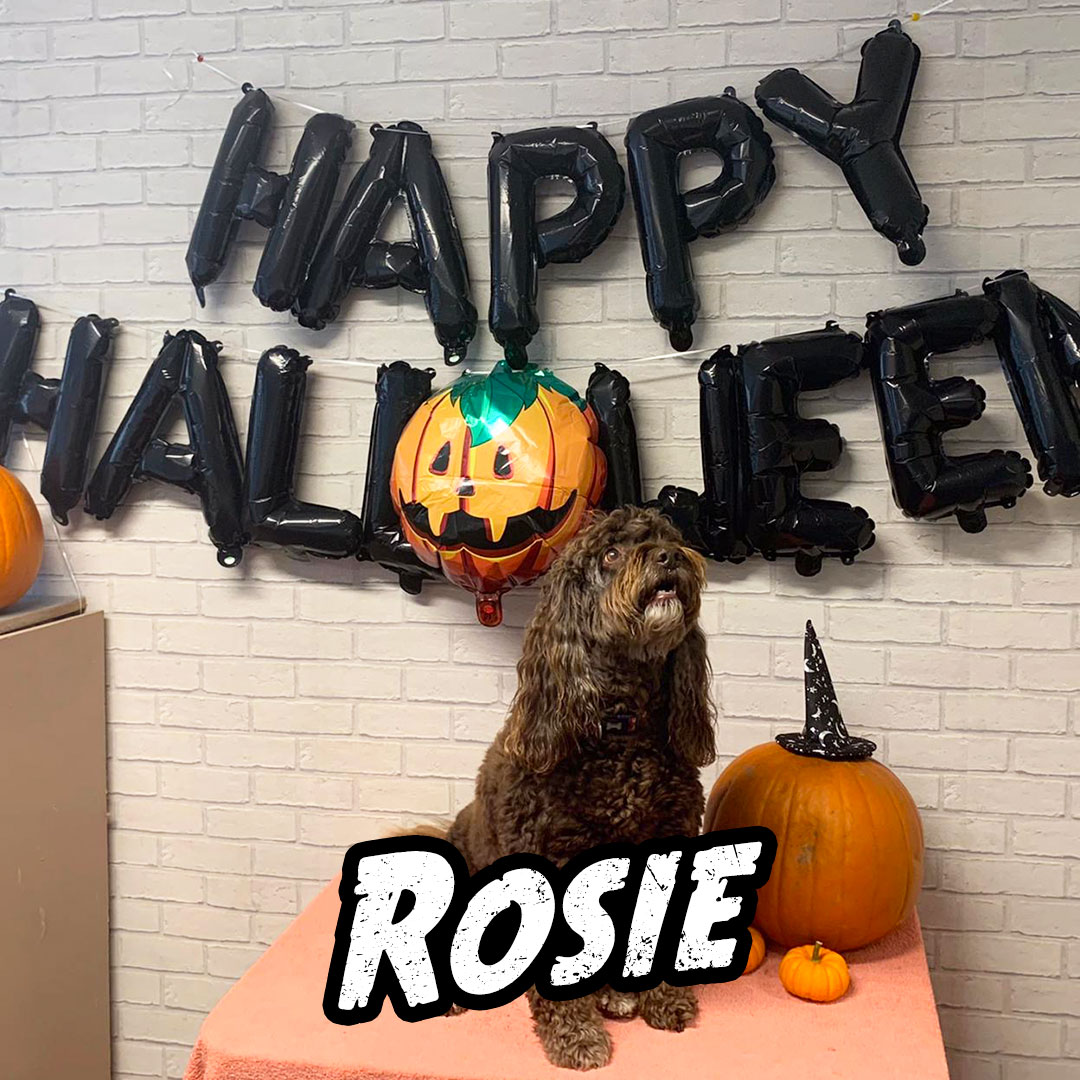 Rosie