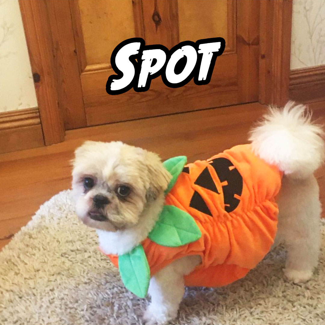 Spot