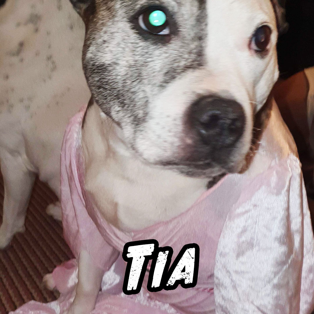 Tia