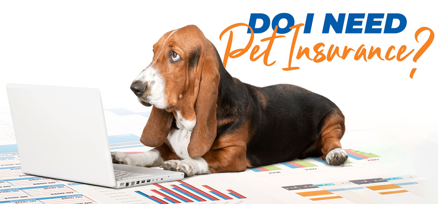 do i need pet insurance