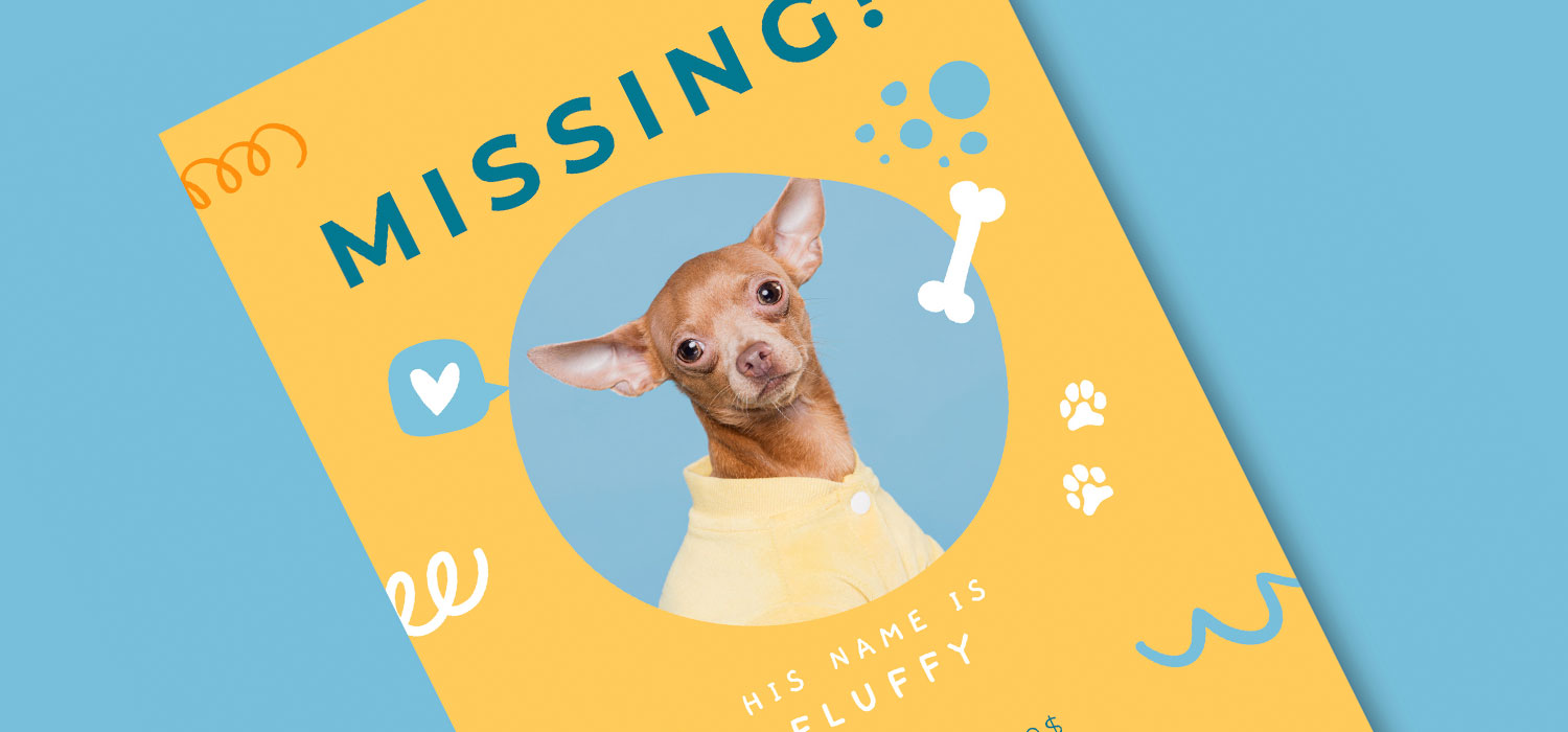 missing dog