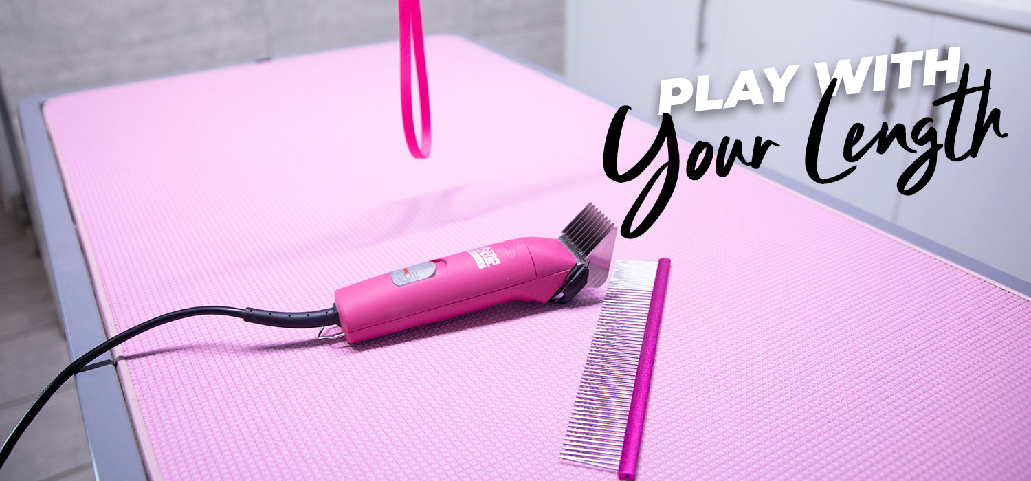 andis agc clipper with text "play with your length" 