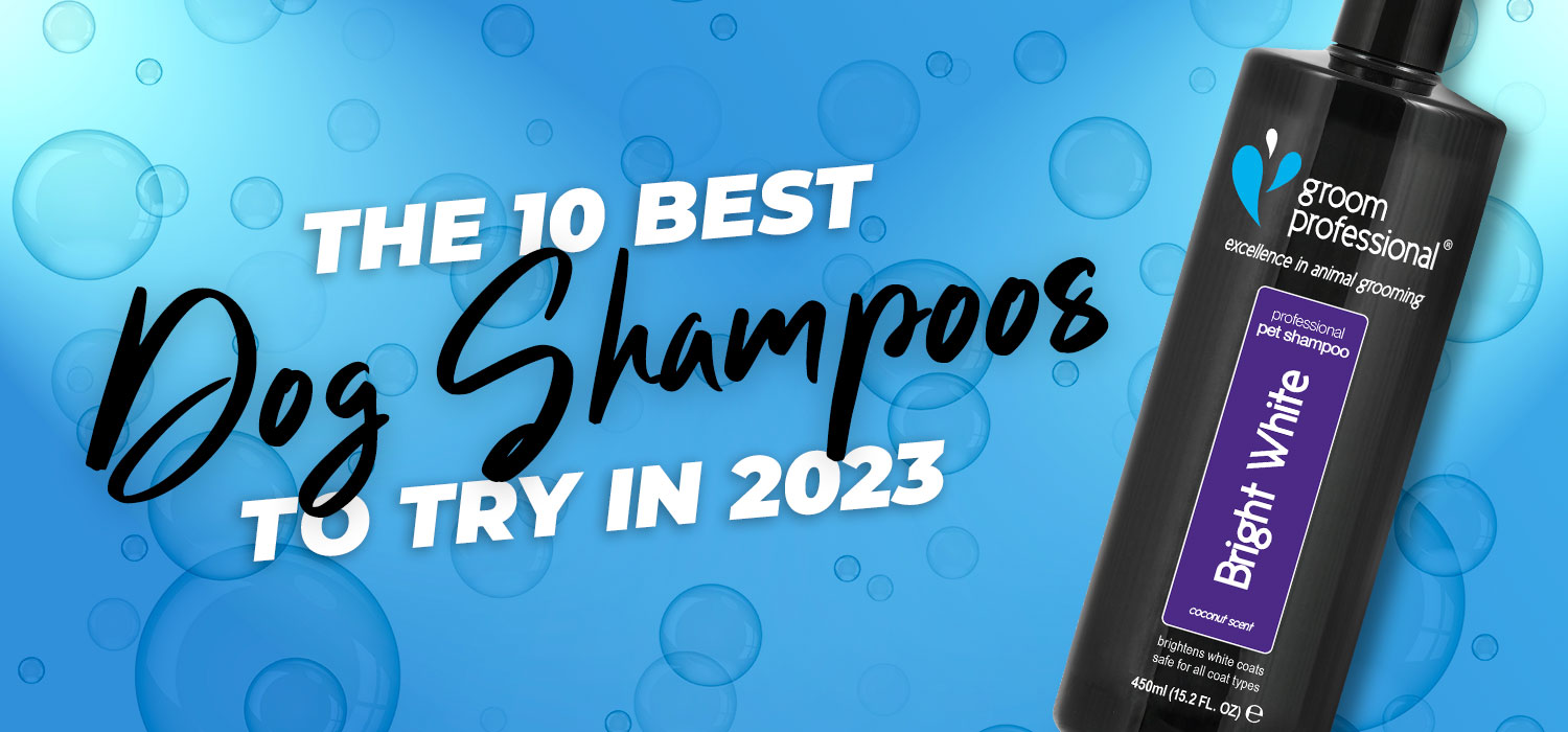 10 Best Dog Shampoos to Try in 2023