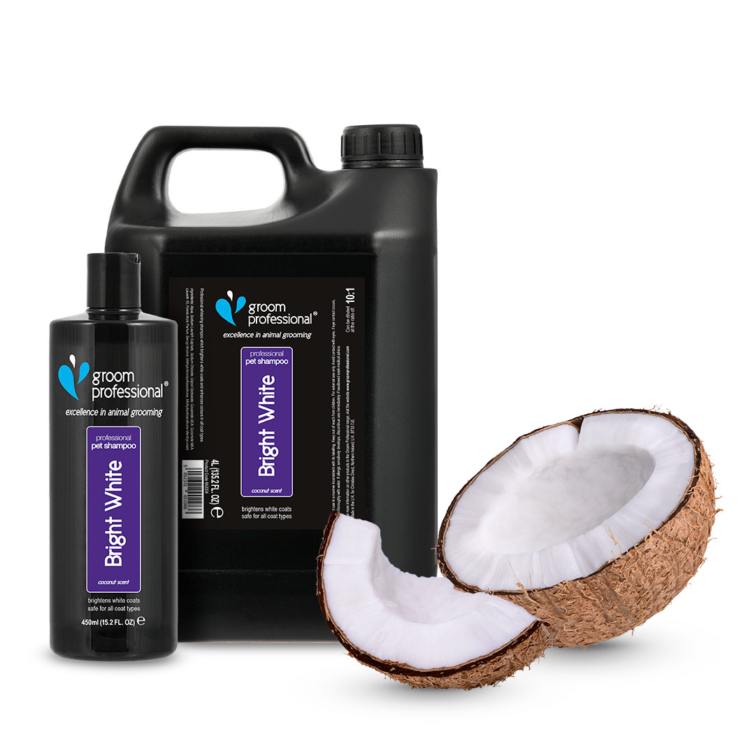 Groom Professional Bright White