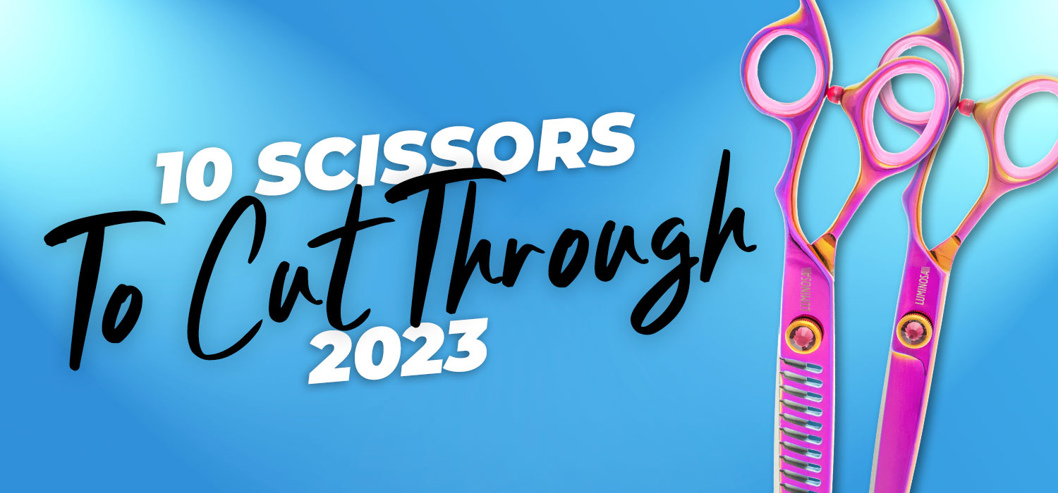 Luminosa Scissors 10 Best Scissors