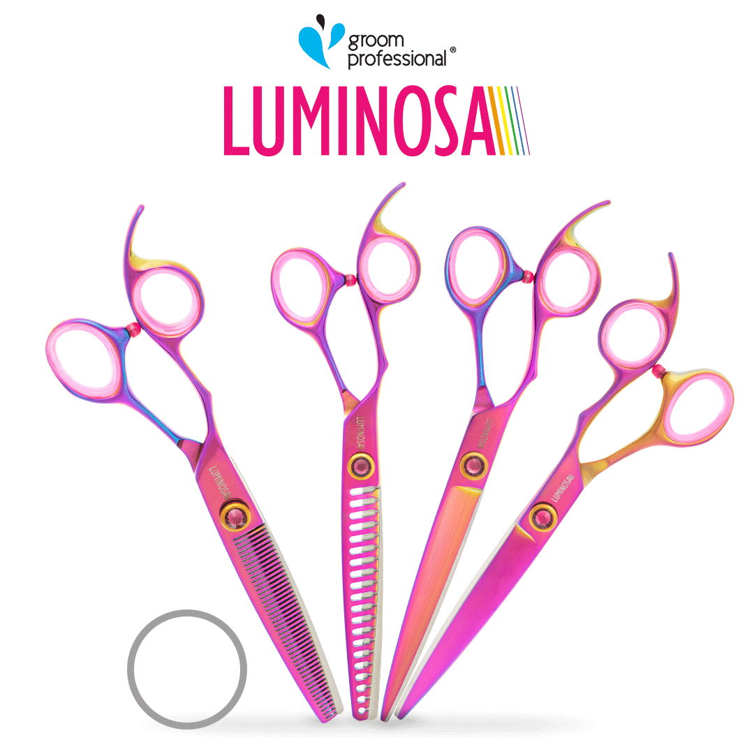 Groom Professional Luminosa