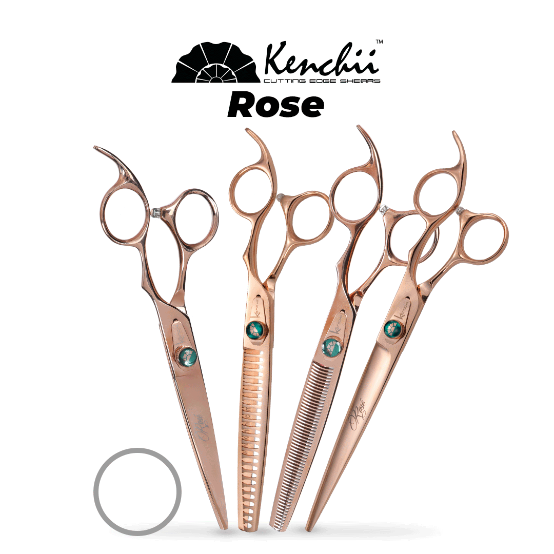 Kenchii Rose