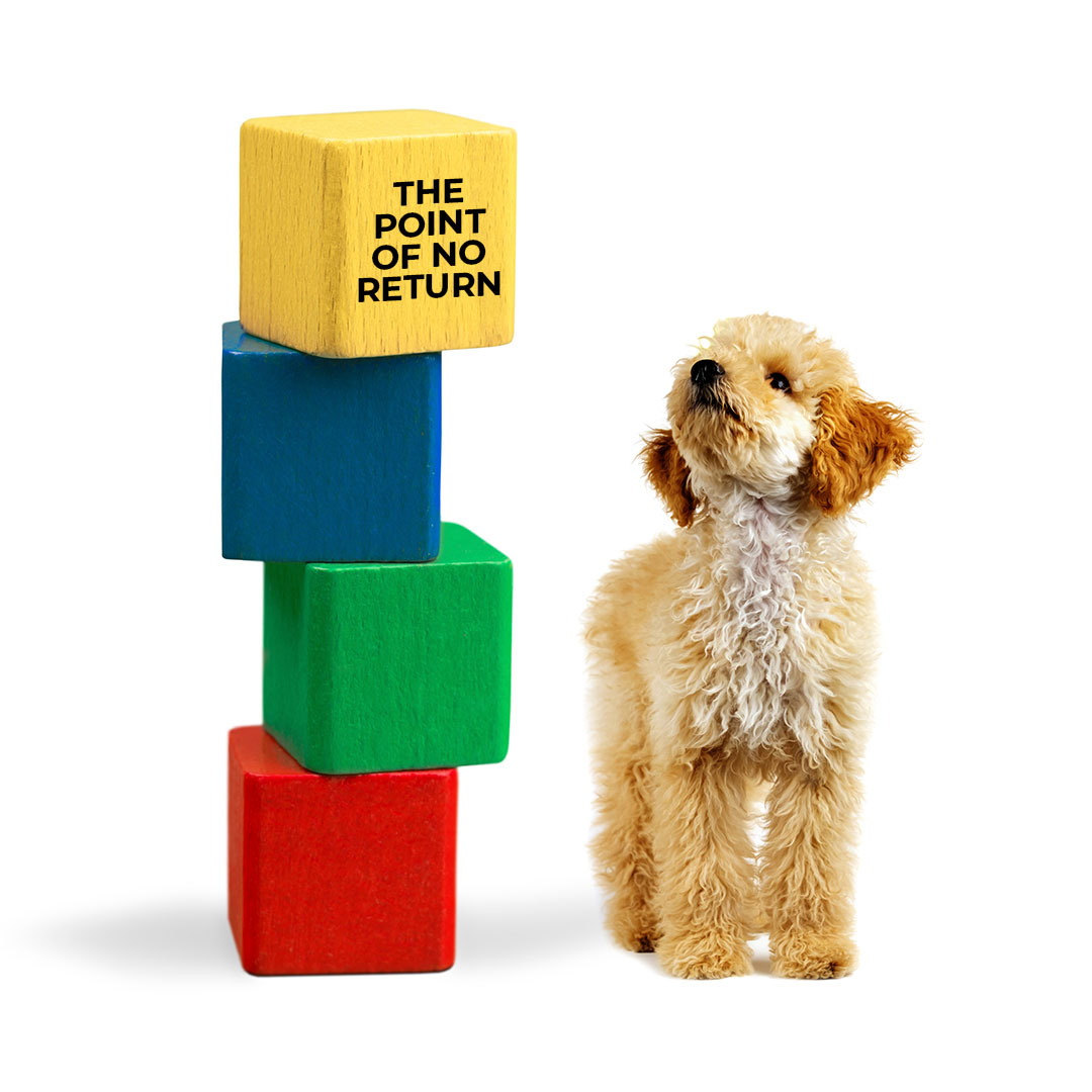 dog point of no return