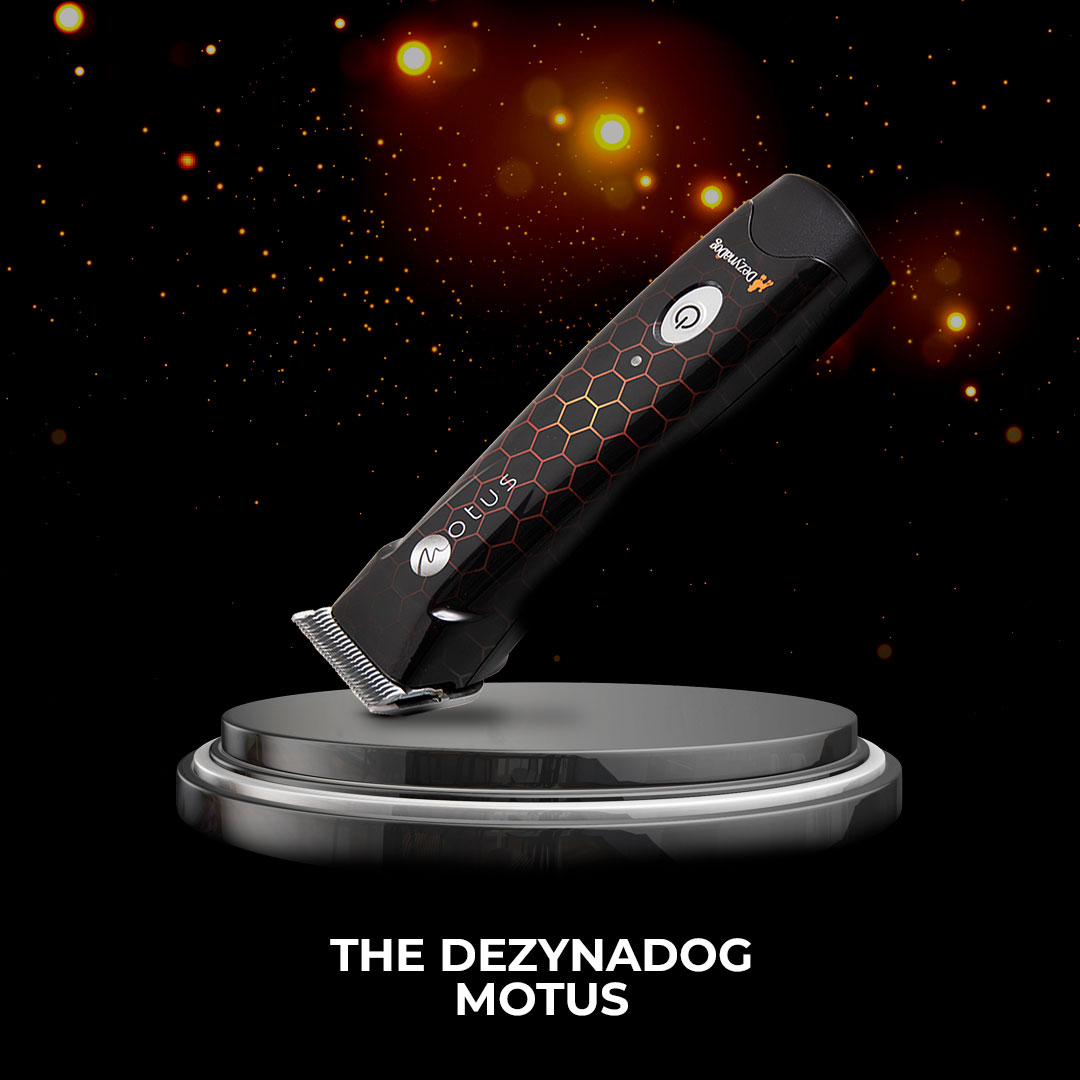 dezynadog motus