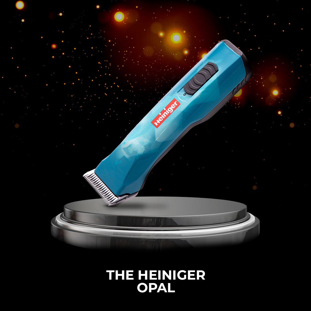 THE HEINIGER OPAL