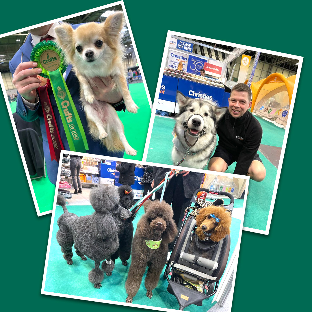 Crufts 2022