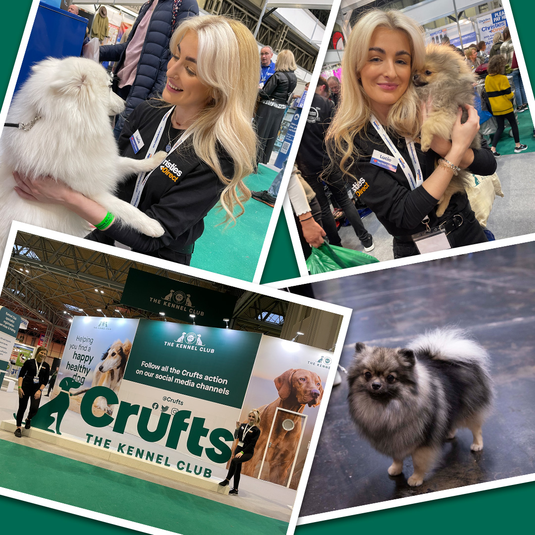Crufts 2022
