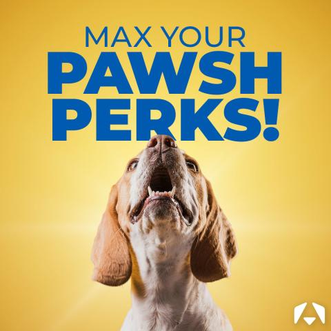 Unlock More Value: How to Maximise Your Pawsh Perks at Christies