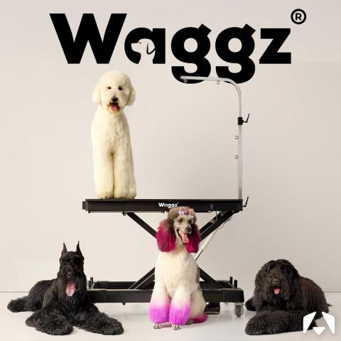 Why Waggz? A Guide to the Newest Grooming Tables at Christies