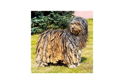 Corded Coats