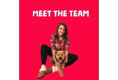 Blog - Meet the Team and their Top Picks