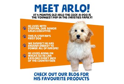 Blog - Meet the Team - Arlo the Cockapoo